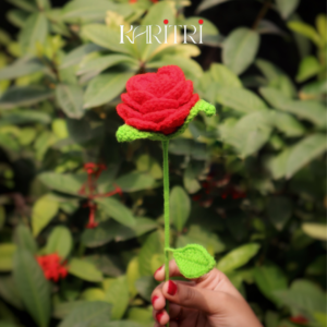 Red Rose